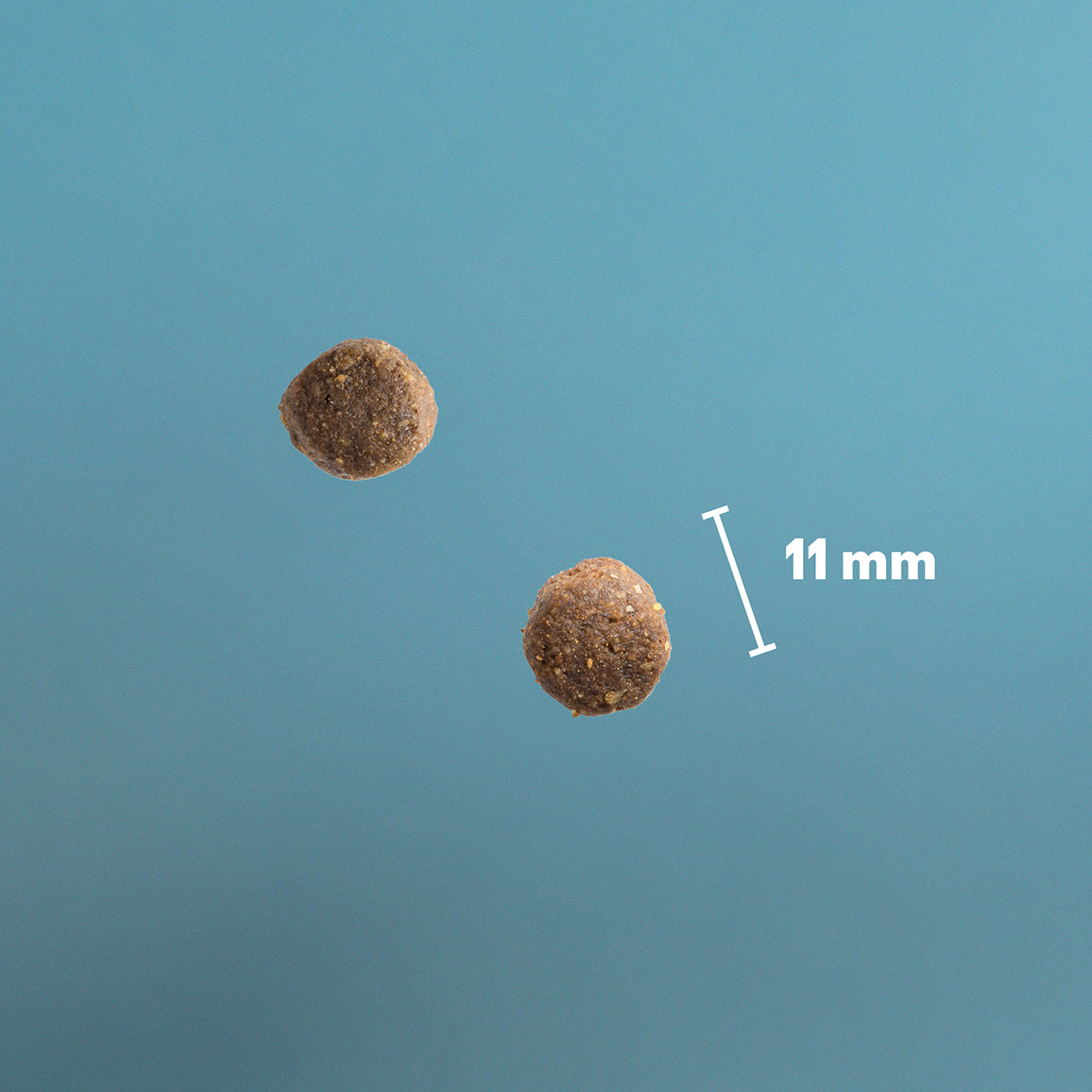 PrimaDog Lammas ja peruna koiran kuivaruuan nappulakoko on 11 mm