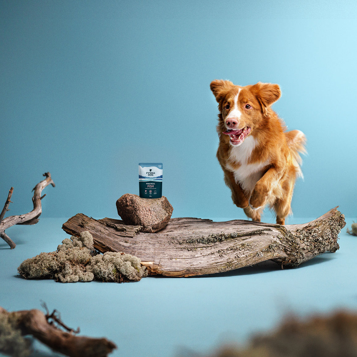 PrimaDog Mini Meal viljaton Kalaa kastikkeessa koiran märkäruoka pakkauskuva