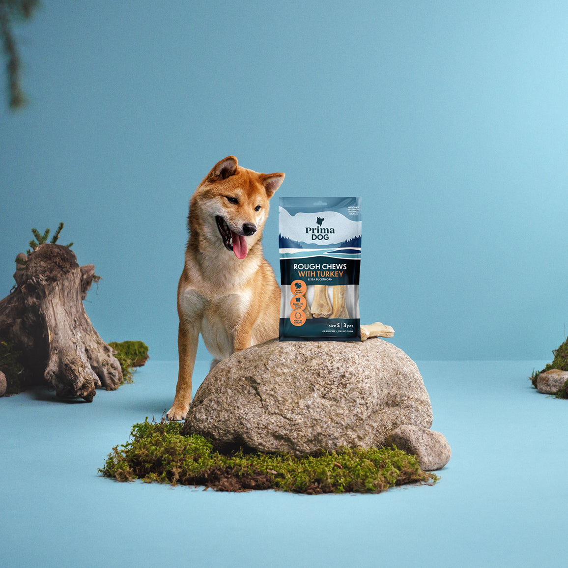Fiiliskuva, jossa PrimaDog Rough Chews Kalkkuna ja tyrni -puruluupakkaus on kiven päällä ja vaalea koira istuu kiven takana ja katsoo puruluita.