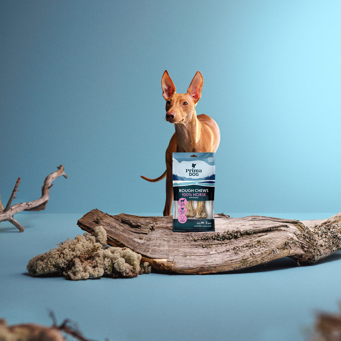 Fiiliskuva, jossa PrimaDog Rough Chews Hevonen täytepuruluupakkaus on kiven päällä ja vaalea koira seisoo kiven takana.