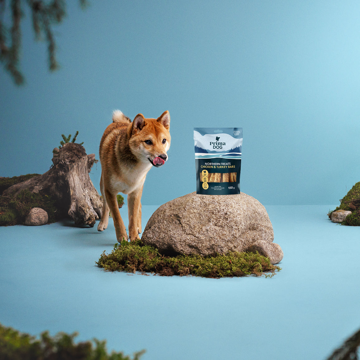 Fiiliskuva, jossa on PrimaDog Northern Treats Kana ja kalkkuna -namipussi kiven päällä ja vaalea koira seisoo kiven takana ja nuolee huuliaan.