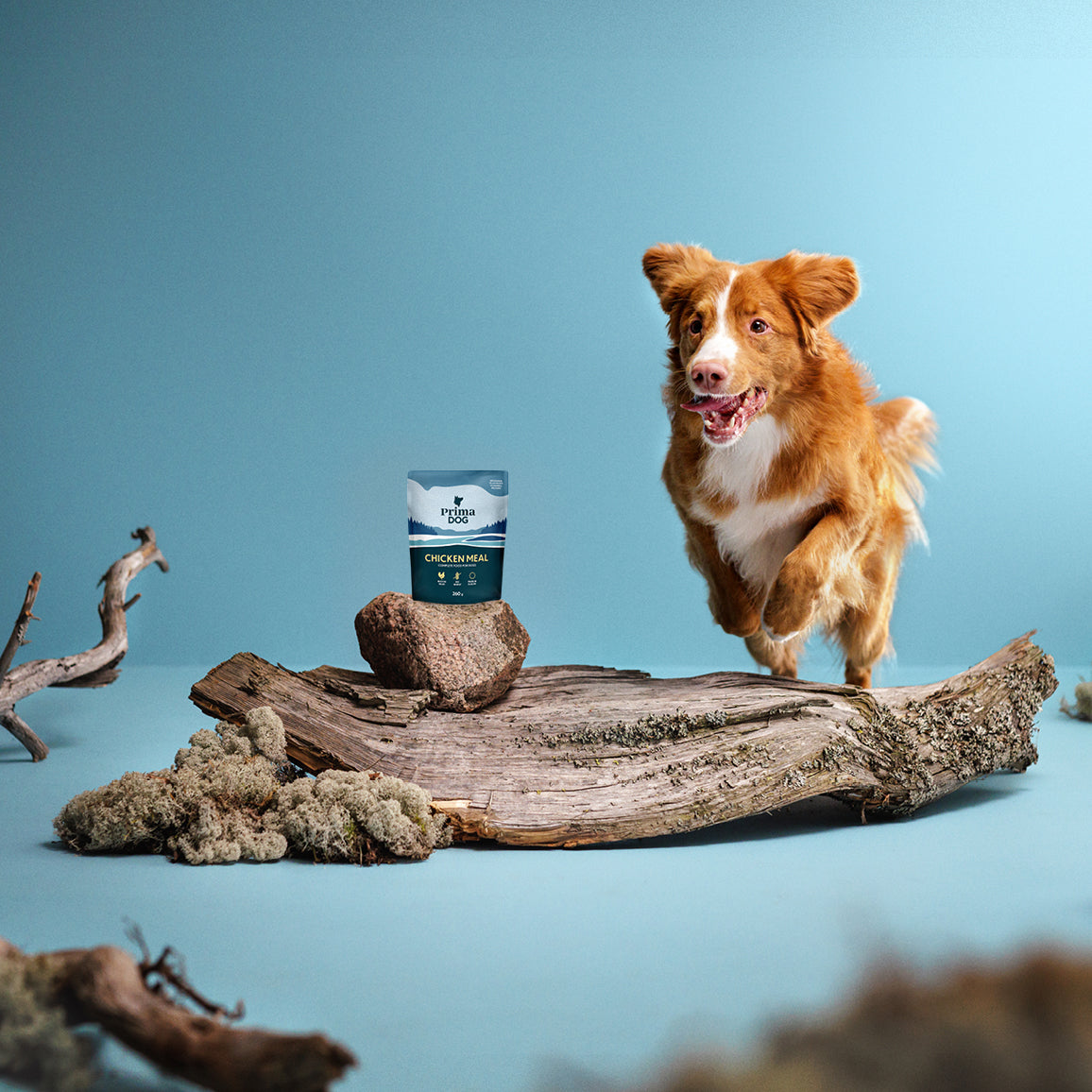 PrimaDog Kana-annosateria koiran märkäruoka pakkauskuva