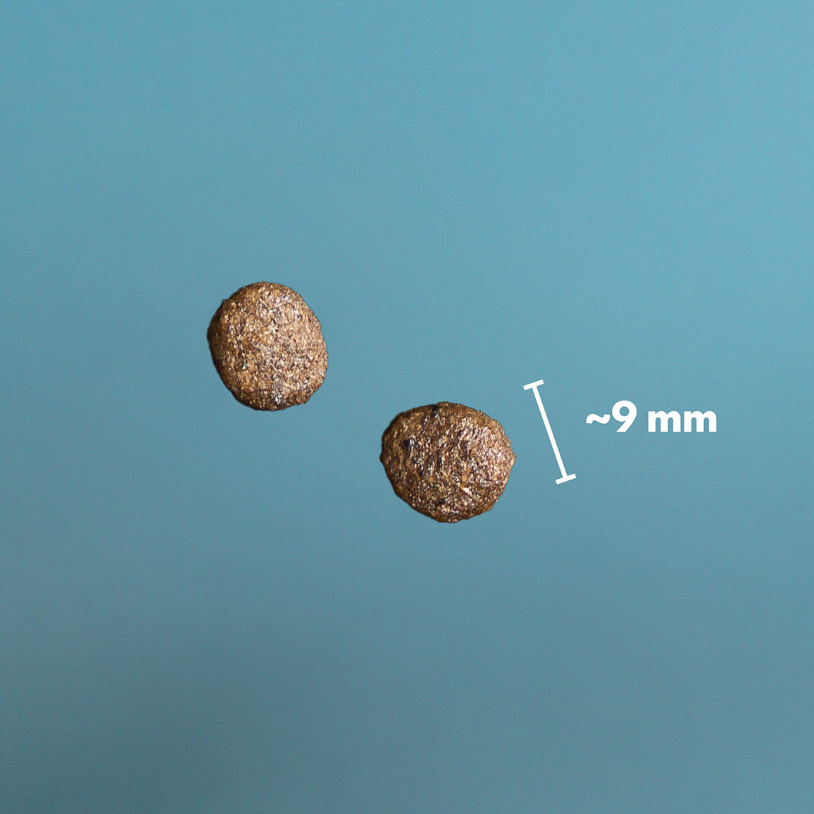 PrimaDog Kana ja peruna koiranpennun kuivaruuan nappulakoko on noin 9 mm