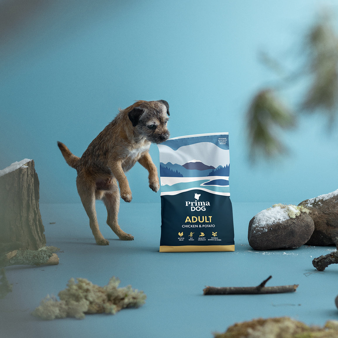 PrimaDog Kana ja peruna koiran kuivaruoka kuvituskuva