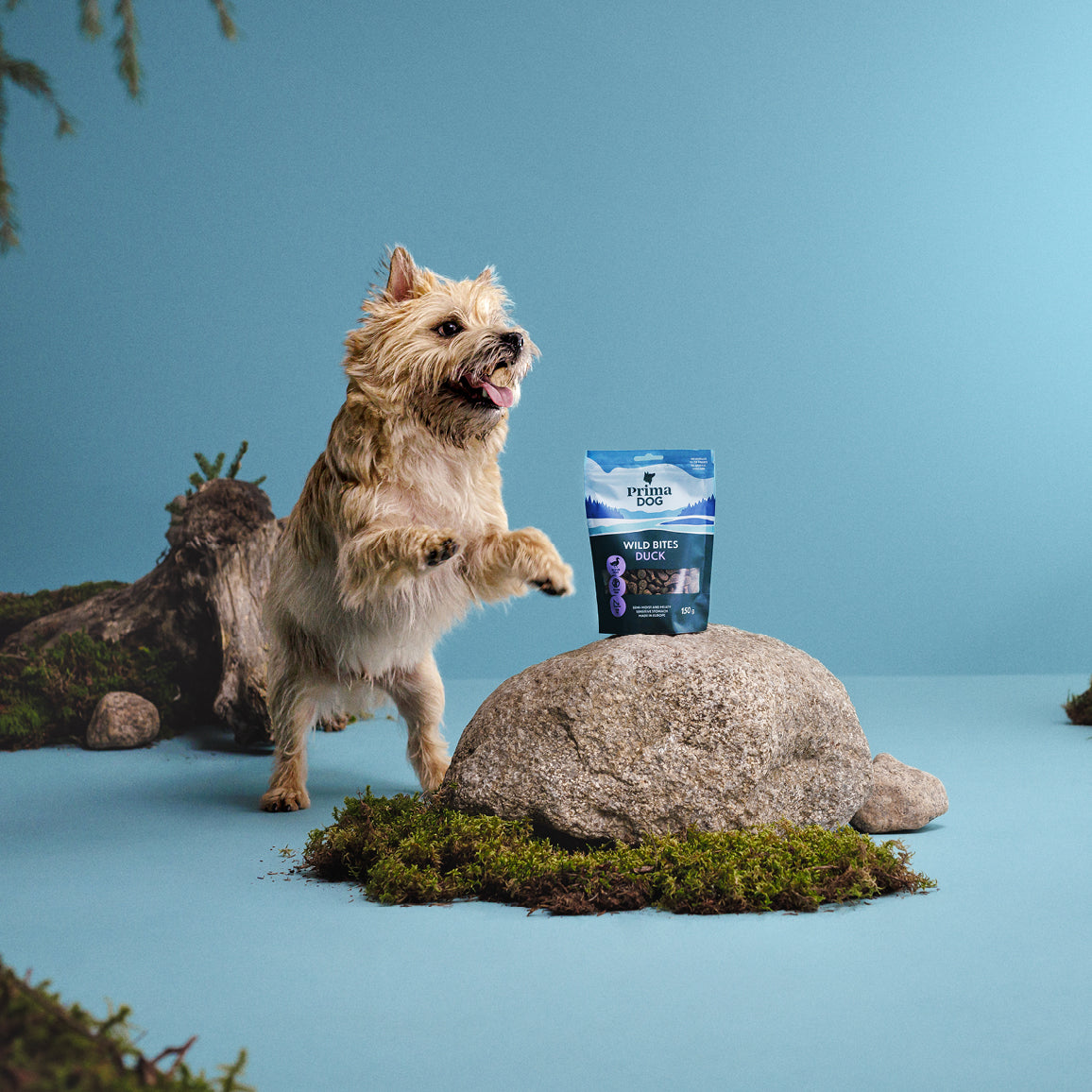 PrimaDog Wild Bites Ankka ja auringonhattu -koiranherkku pakkauskuva