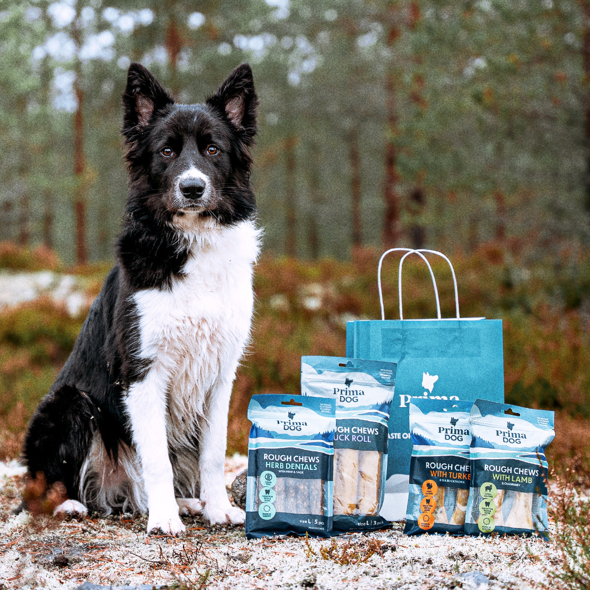 Joulun purupaketti isolle koiralle