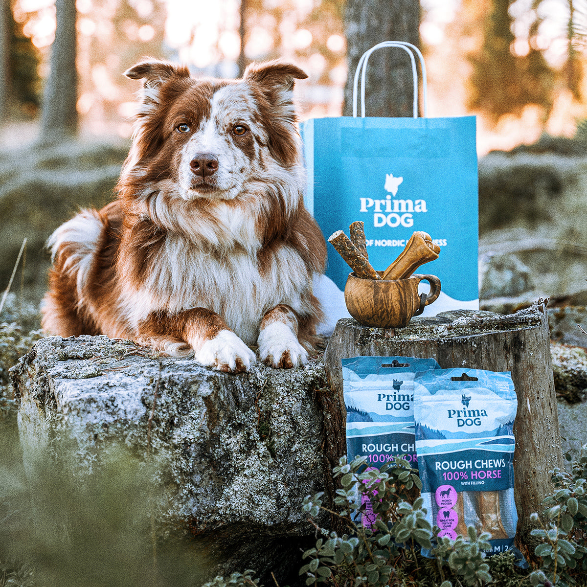 Joulun herkkupaketti herkkävatsaisemmalle koiralle