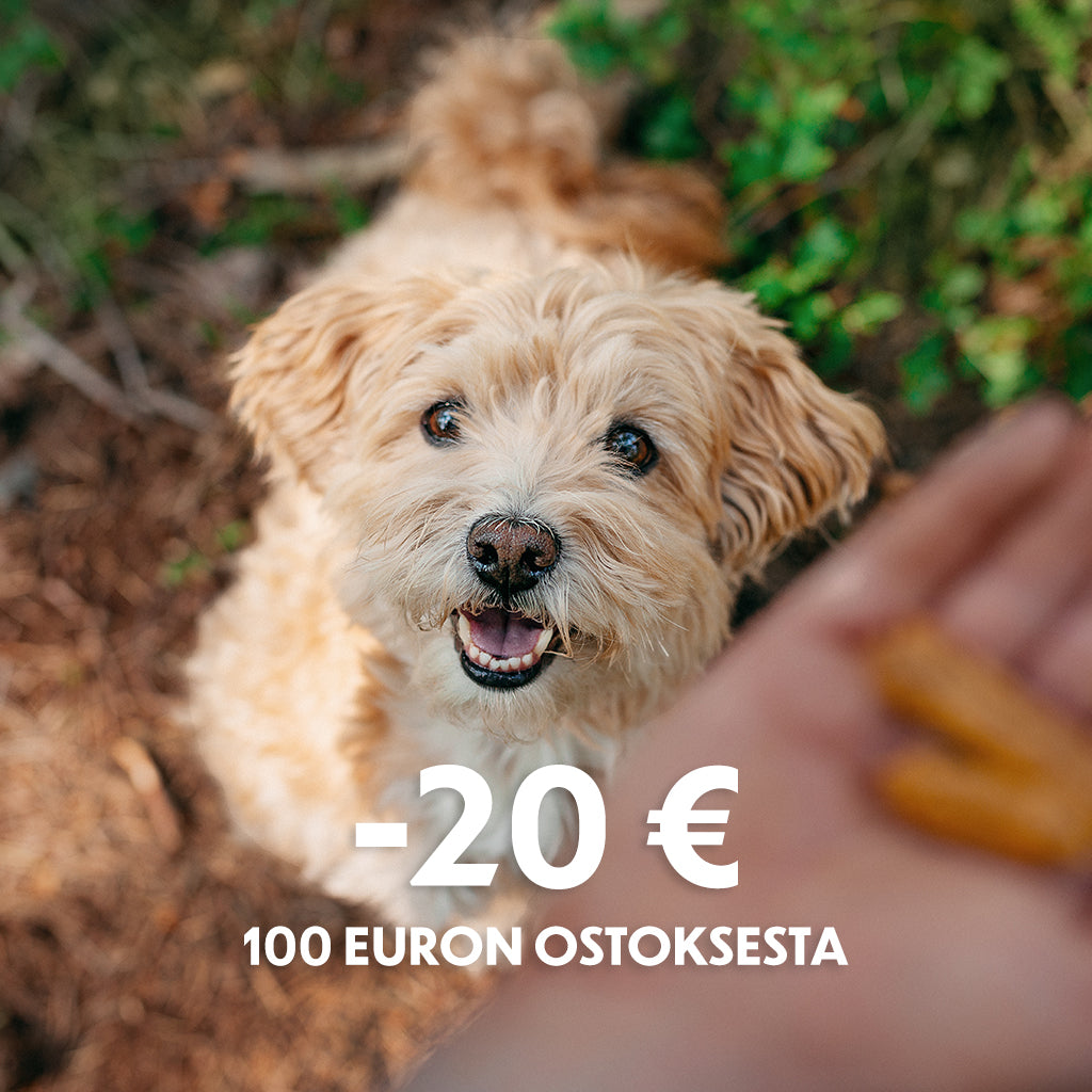 Kuvituskuva, jossa pieni vaalea koira odottaa ihmisen kädessä olevia herkkuja. Saat nyt 20 euron alennuksen 100 euron ostoksesta.