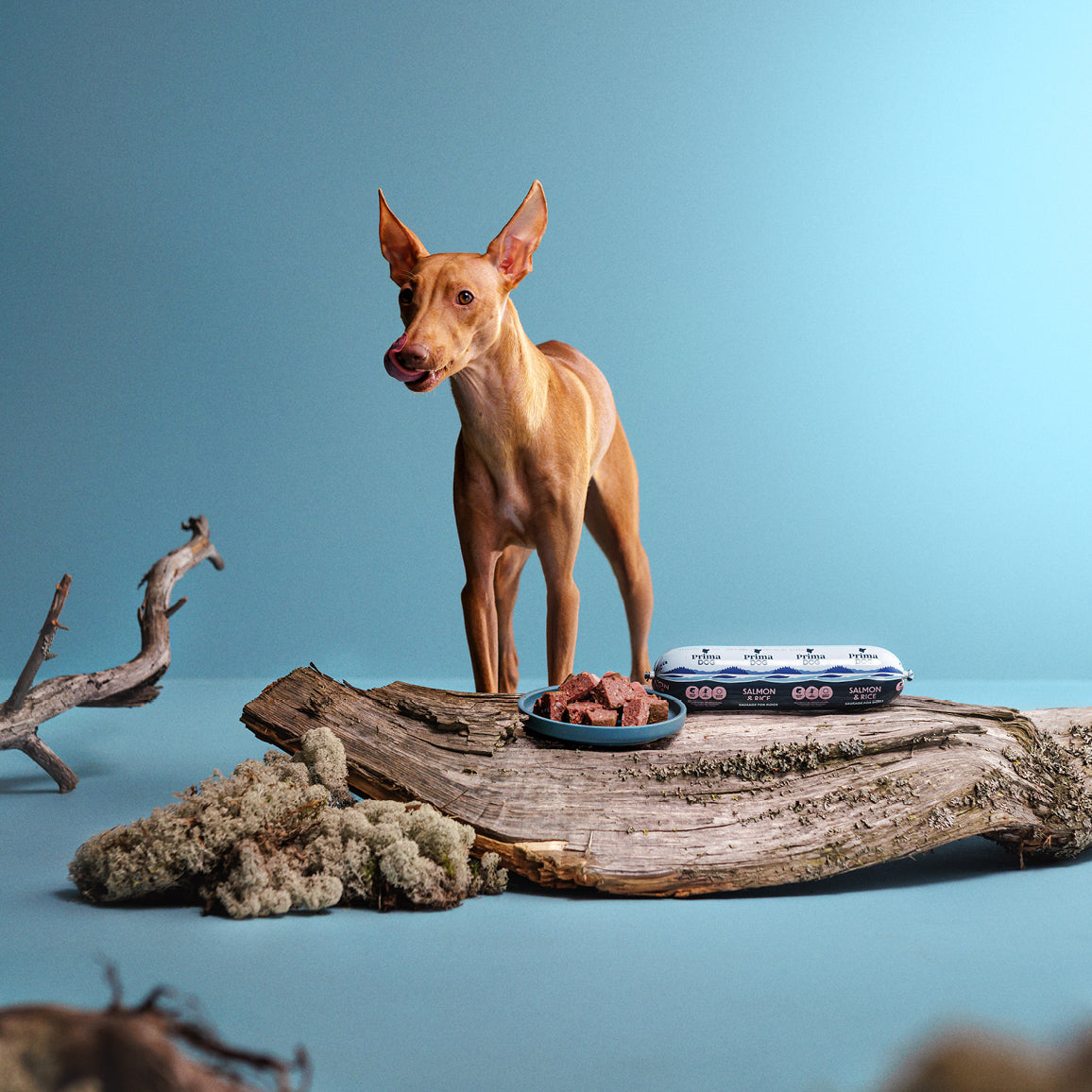 PrimaDog Kalkkuna ja riisi koiranmakkara pakkauskuva