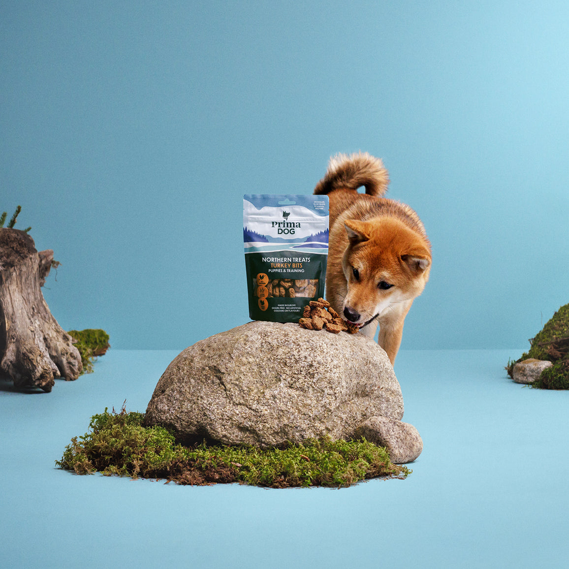 Fiiliskuva, jossa on PrimaDog Northern Treats Kalkkuna treeninamipussi ja kasa herkkuja kiven päällä ja vaalea koira syö herkkuja. 