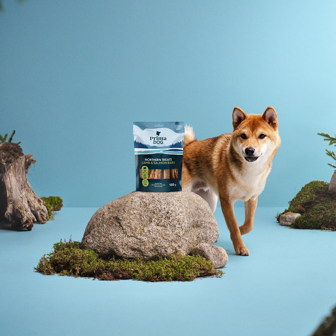 PrimaDog Northern Treats Lammas-lohitanko viljaton koiranherkku pakkauskuva