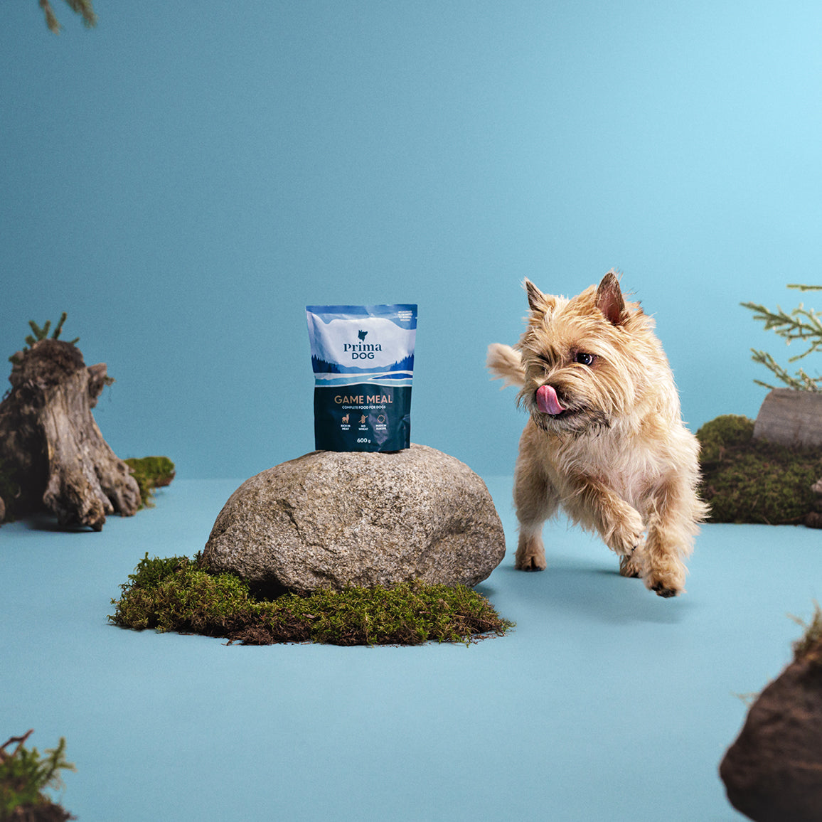 PrimaDog Riista-annosateria koiran märkäruoka pakkauskuva