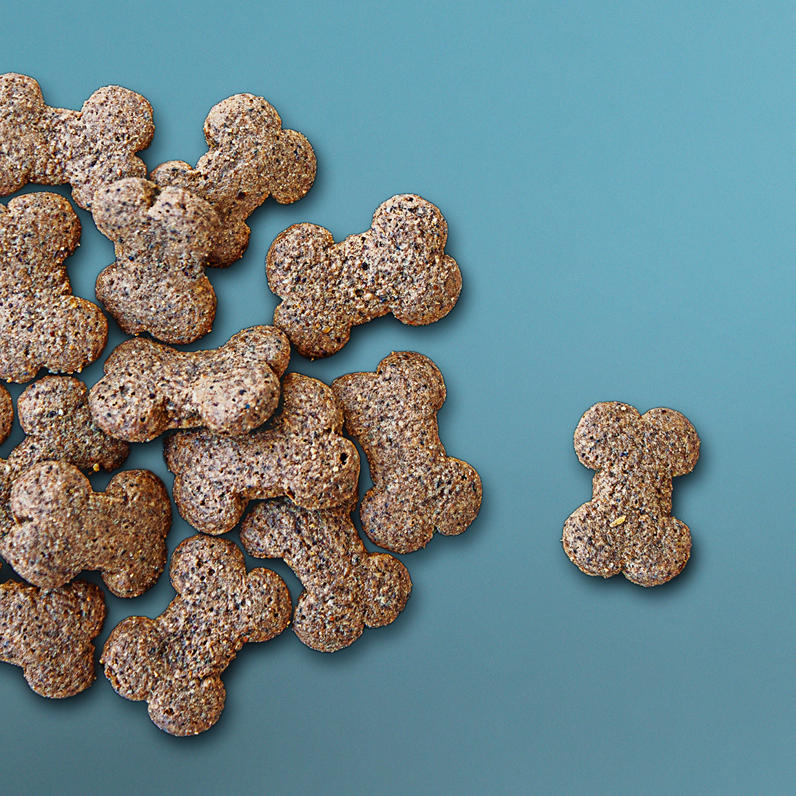 PrimaDog Wild Bites lammas ja tyrni -koiranherkku pakkauskuva